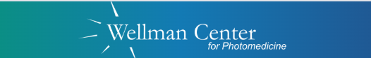 Wellman